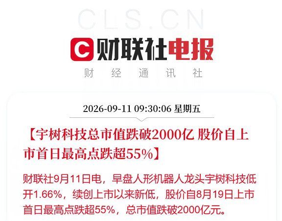 宇树科技总市值跌破2000亿❗️