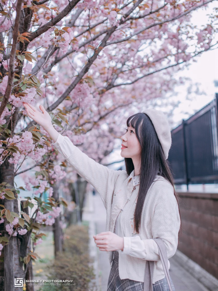 告别人挤人|樱花季去晚了不用怕！京都冷门赏樱地🌸大分享