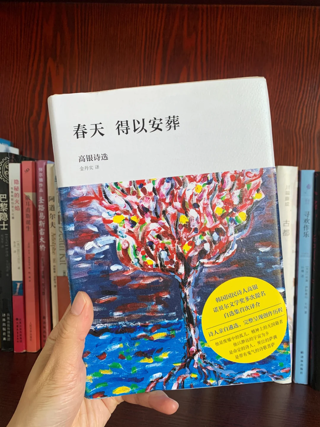 高银诗集推荐 | “我所渴望的 不是祖国”