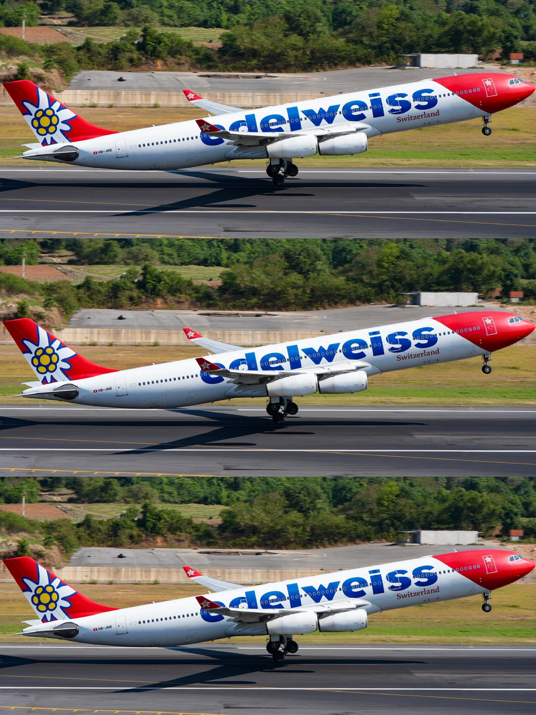 多少人为了雪绒花343，飞了一趟普吉岛❓