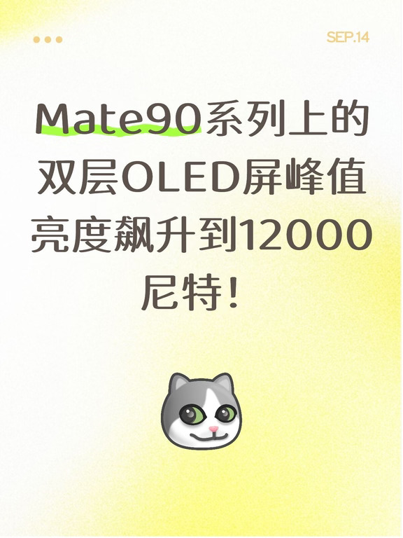 我请问呢？这是谁丢的闪光弹？