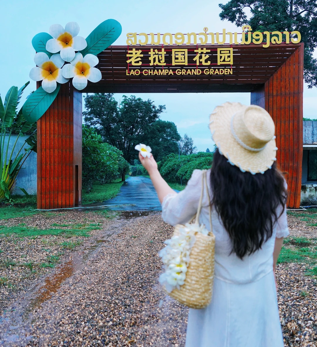 谁懂啊😭落地老挝直接收到🇱🇦花最高礼遇💐