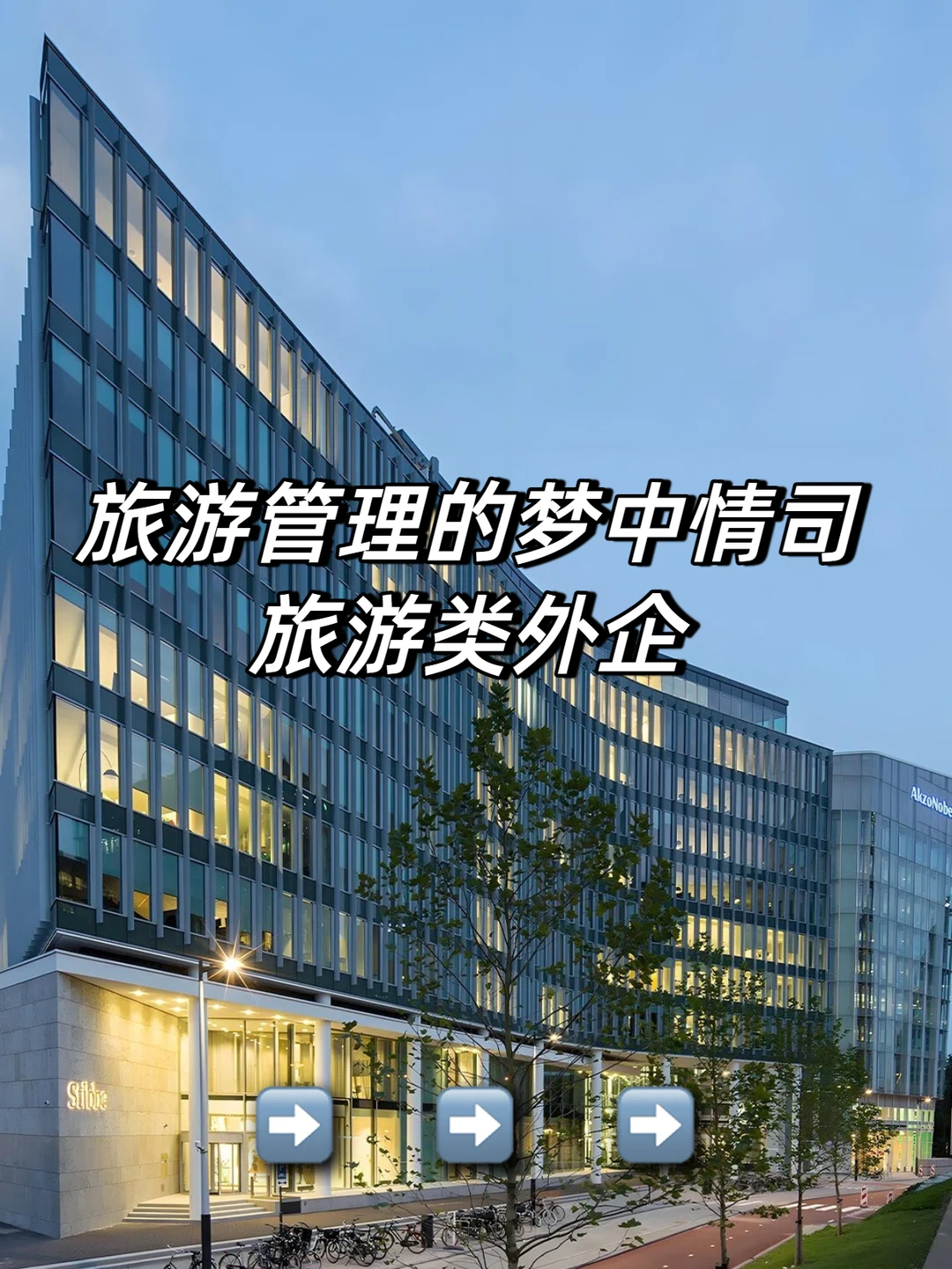 旅游管理的梦中情司：旅游类外企