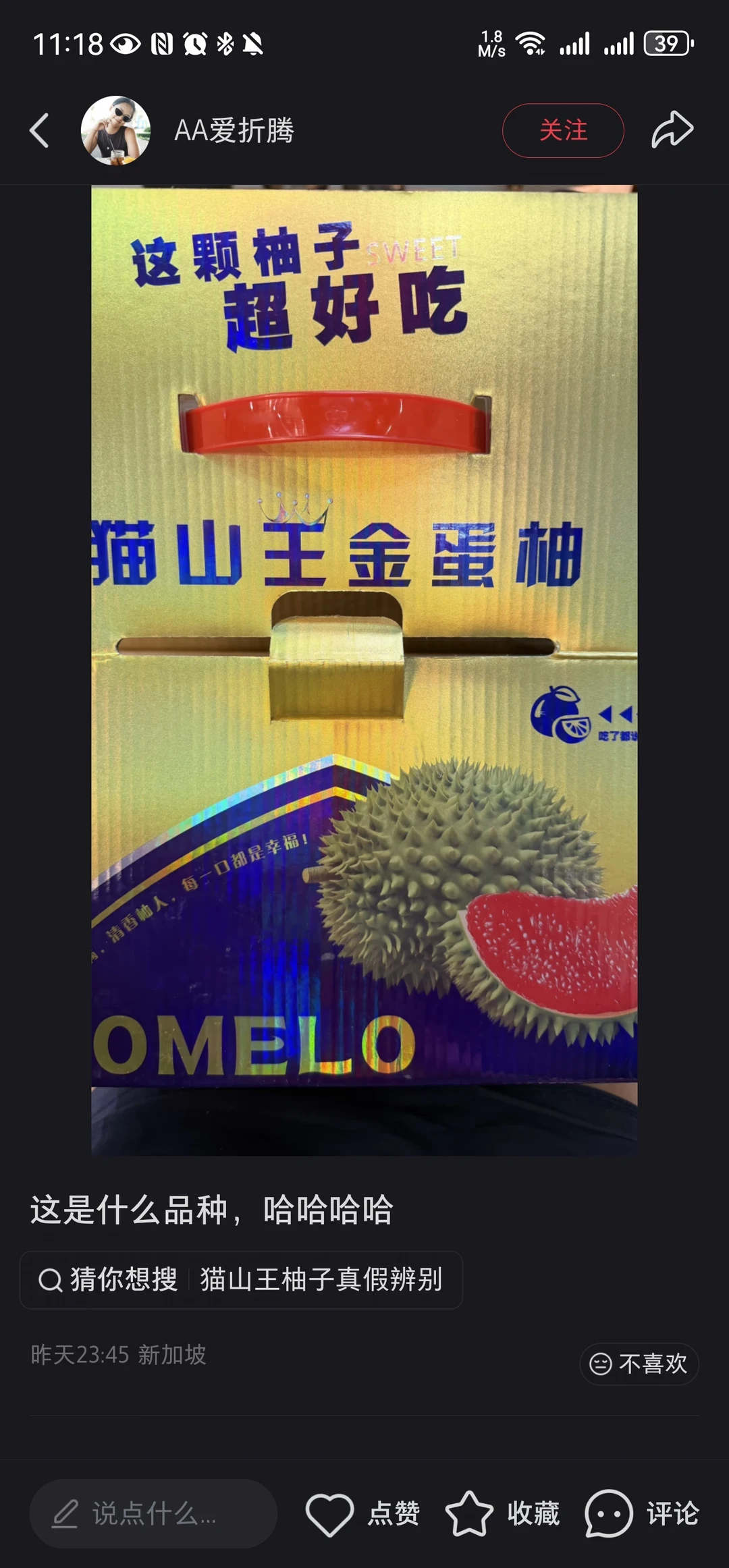 这是什么品种？