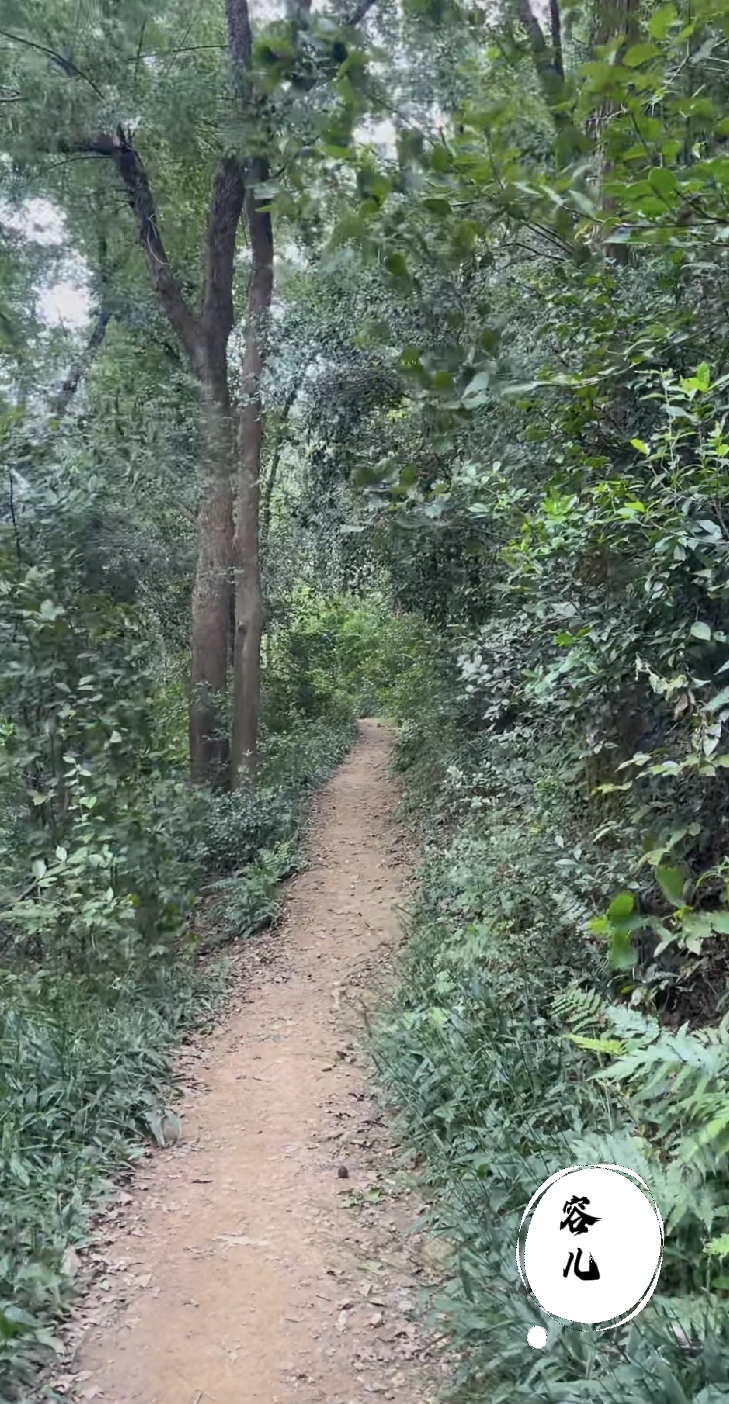 后来才懂：
饥不择食，
寒不择衣。
慌不择路，
贫不择妻。

原来人生的大多数的