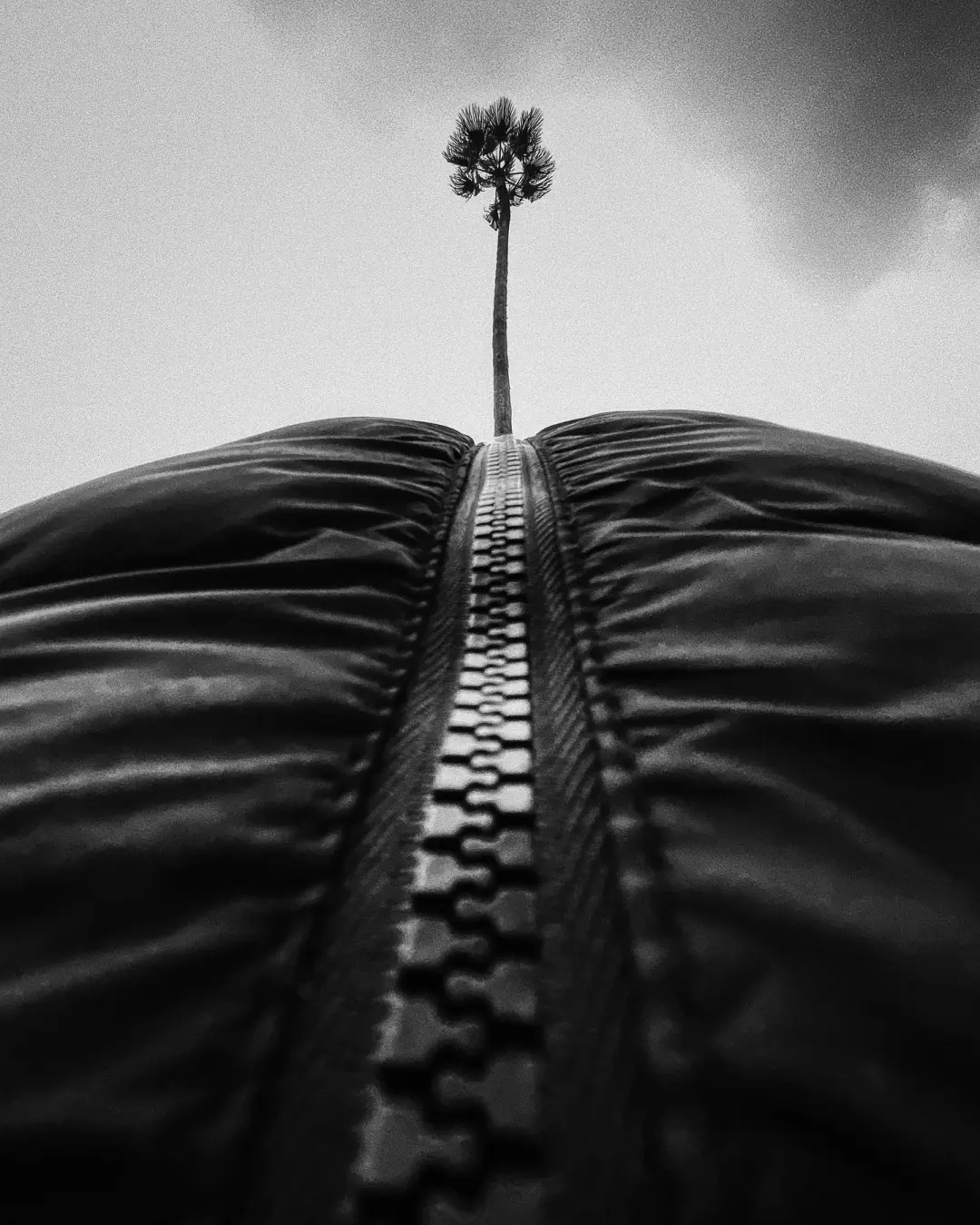 惊爆！Dodafoto 吃透 IPPA 全部获奖密码