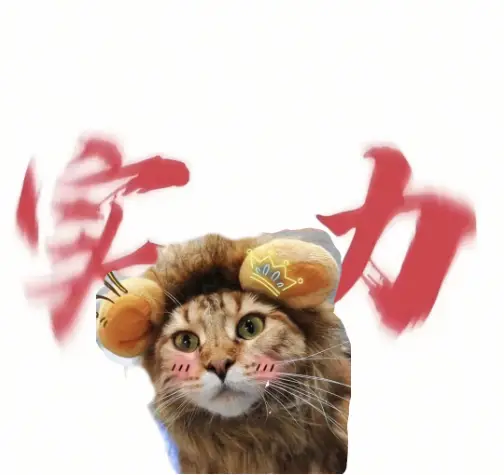 肖战的实力