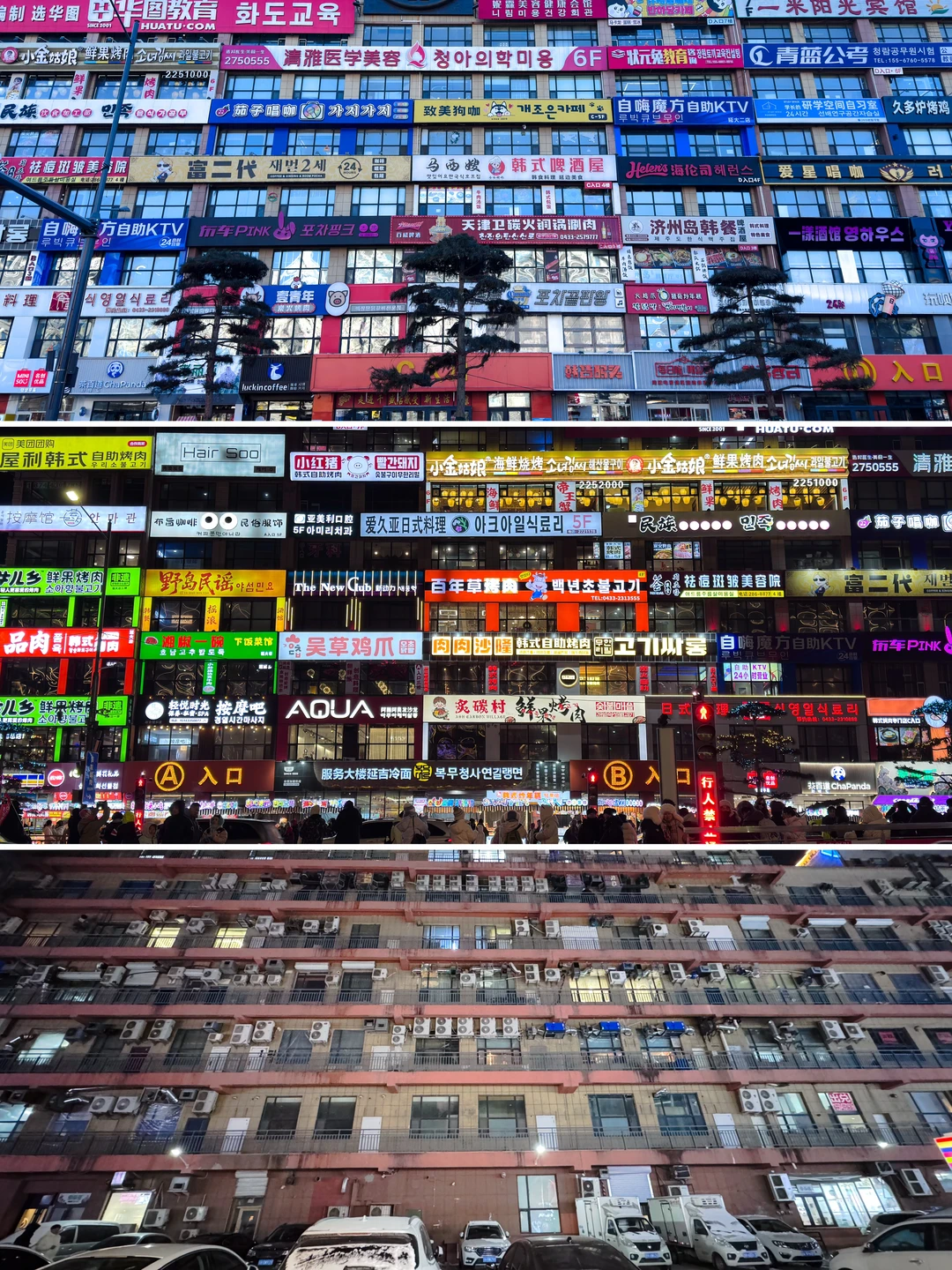 被延大网红墙骗了好多年