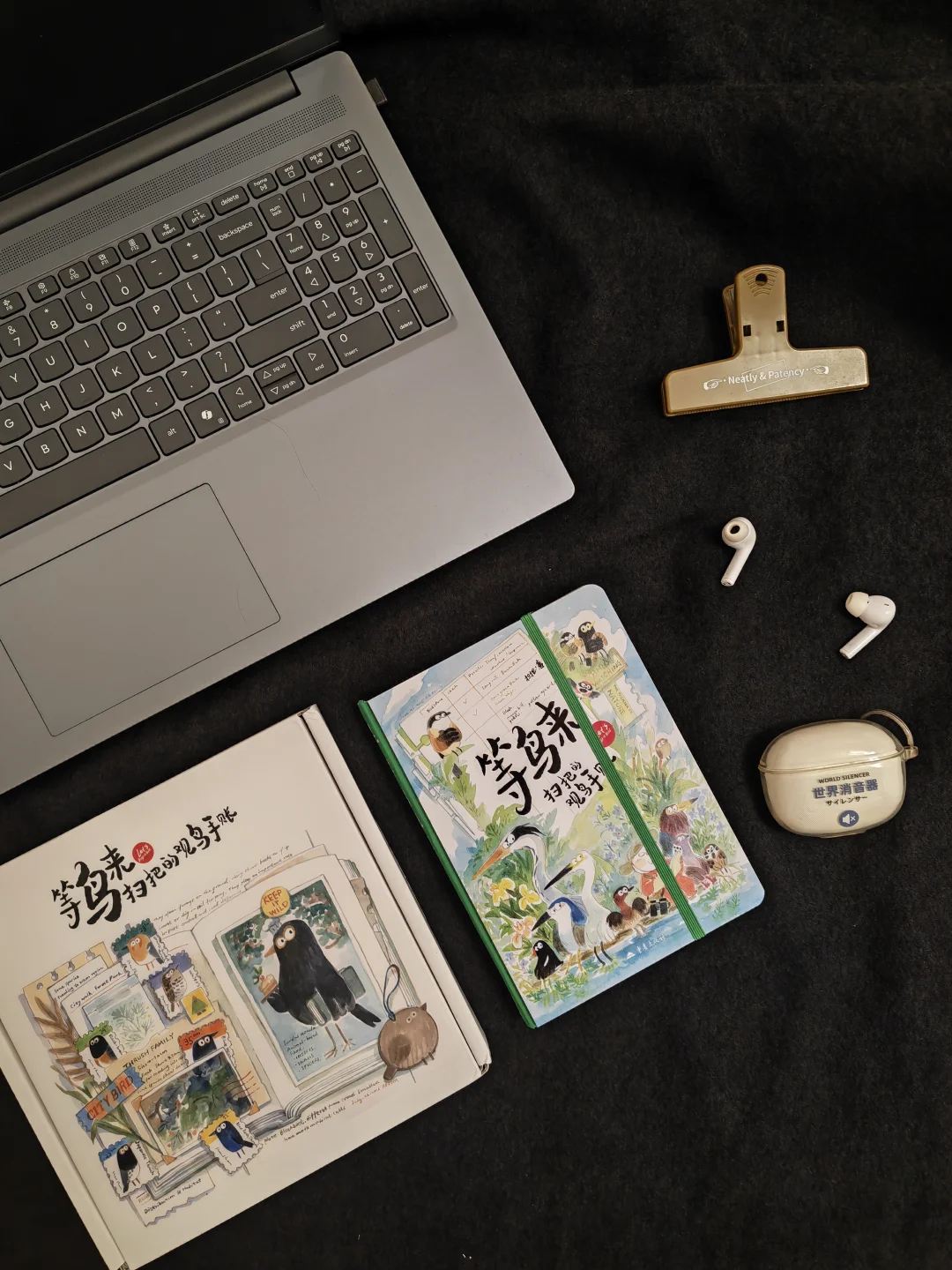 入坑观鸟真的太治愈了🕊️