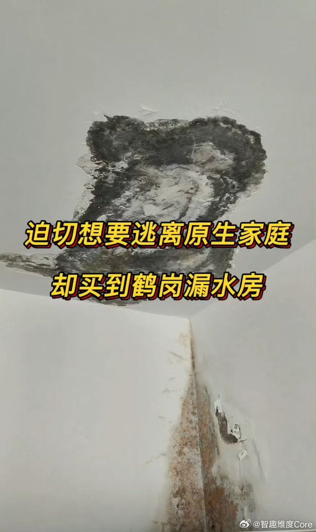 #江苏姑娘网购鹤岗房搬进去后傻眼#
3.8万线上拿下鹤岗一套房，装修四万多，入住才发现房屋漏水。
冬天积雪掩盖渗水，中介拍视频刻意回避问题点，事后还推卸责任。
提醒大家，再便宜的房子，也别盲目远程盲买！ ​