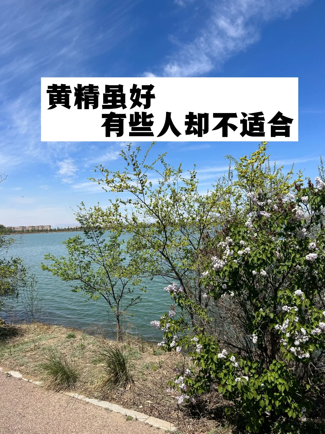 黄精虽好，有些人却不适合.