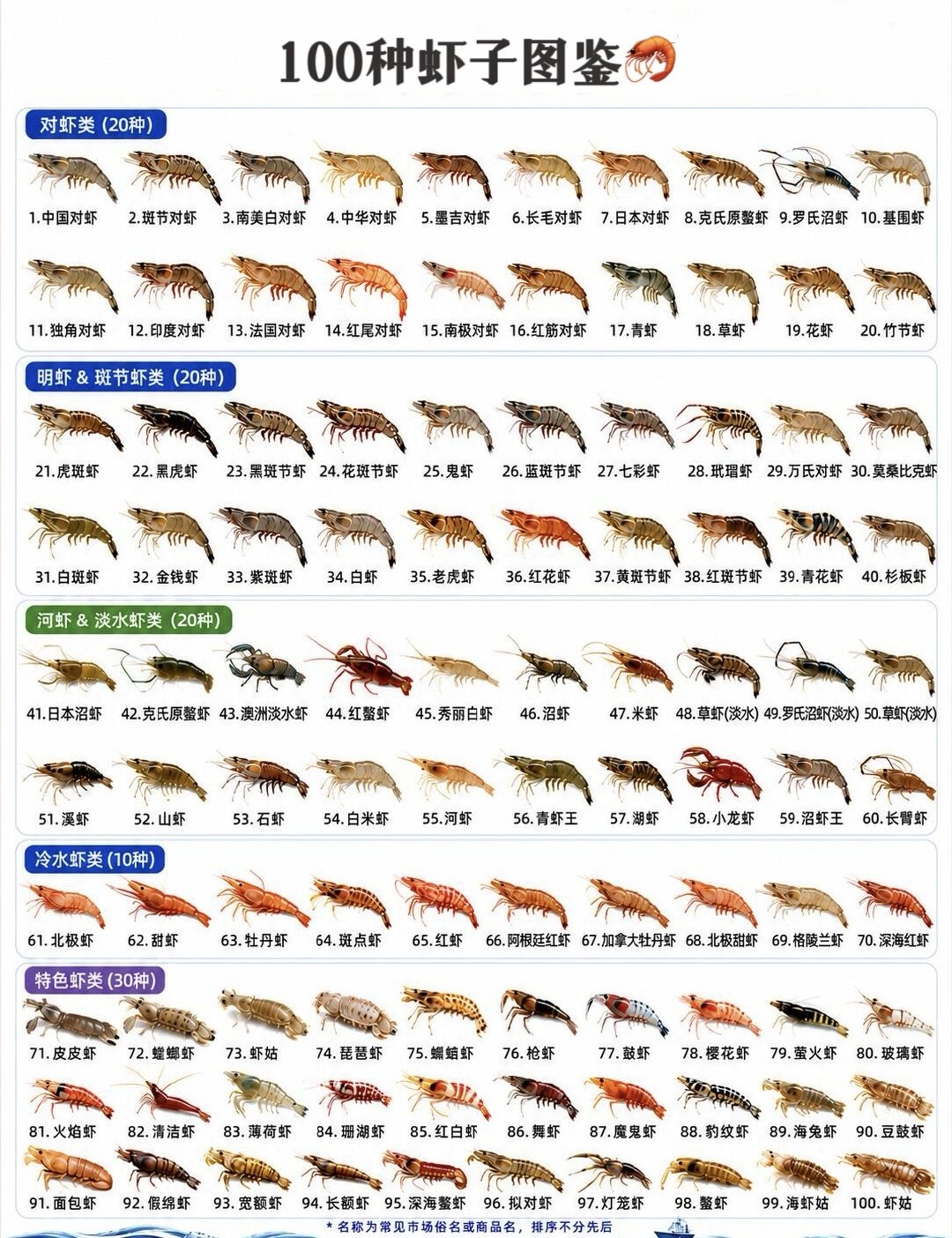 喜欢吃虾，各种虾子都喜欢！100种虾子图鉴。#台风烟花生成#  ​