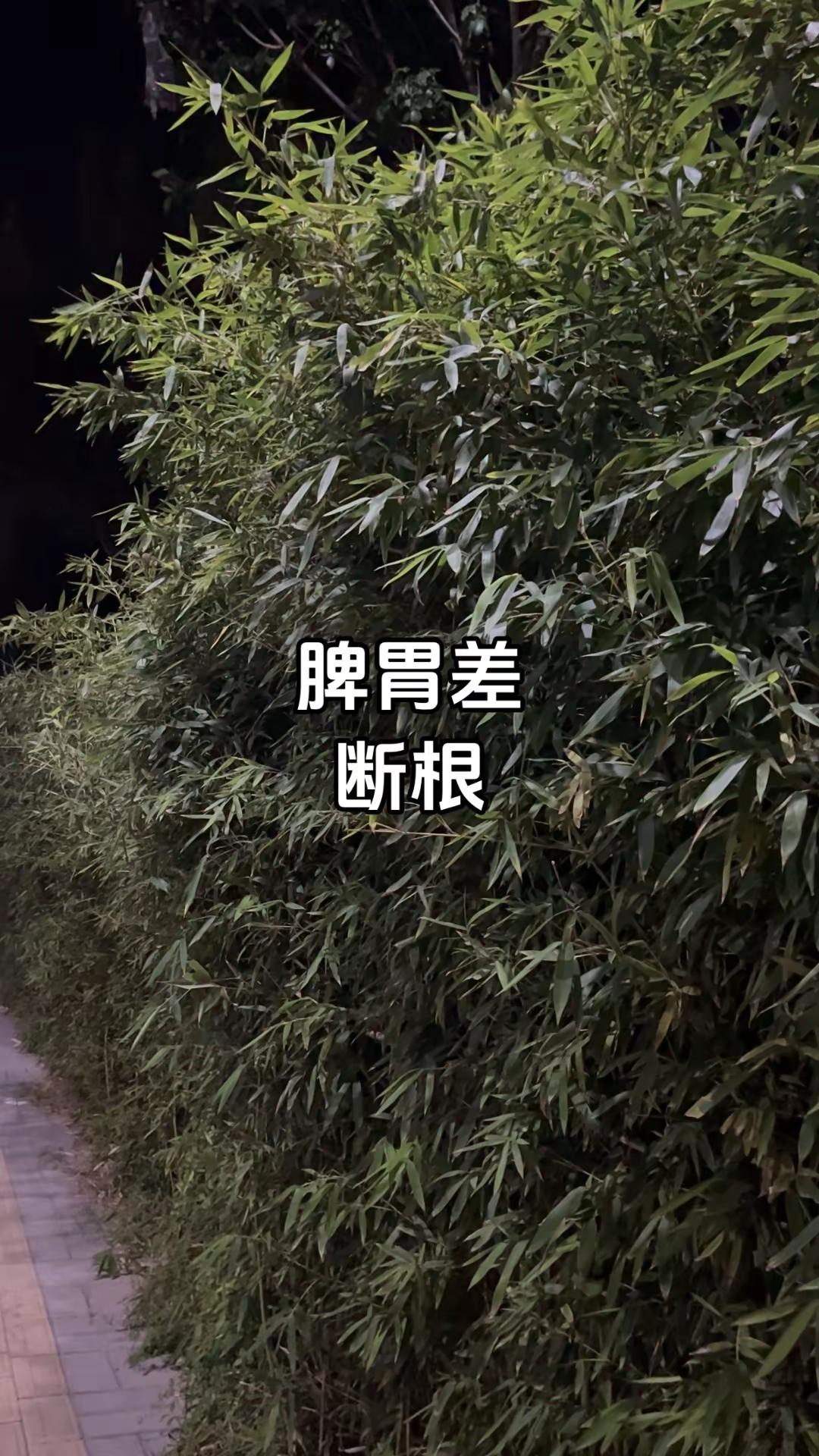 国乒乒乓球项目收官，6金4银1铜完美落幕，名古屋亚运会乒乓球全部比赛打完，中国队一共拿到6枚金牌。虽然男团遗憾输给日本没能延续连冠，但单项赛场全部顶住压力，林诗栋、王曼昱、蒯曼三位小将成为三冠王，新一批国乒主力已经崛起，向着下一个周期继续冲刺！亚运会乒乓球 国乒收官 中国乒乓球队