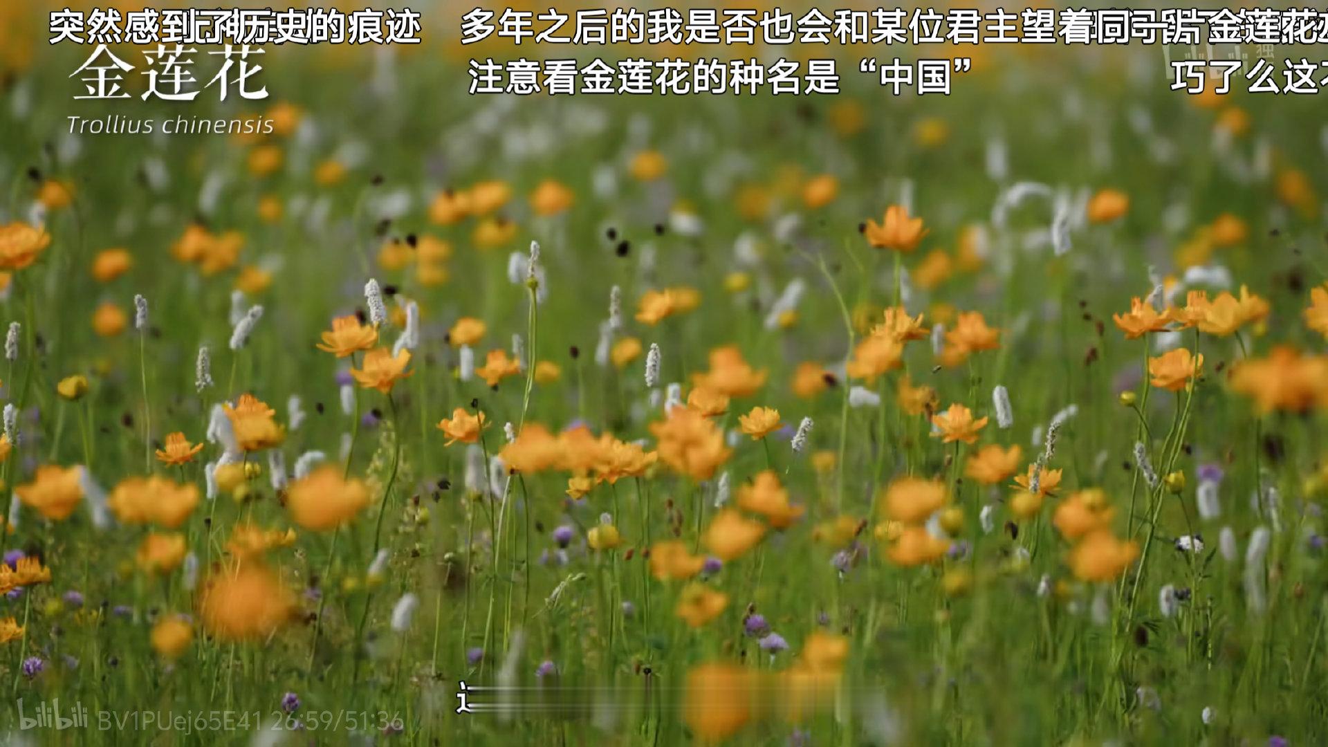 生命奇观2第一集是内蒙古，感觉和罗新一样被金莲川召唤了[捂嘴哭] ​