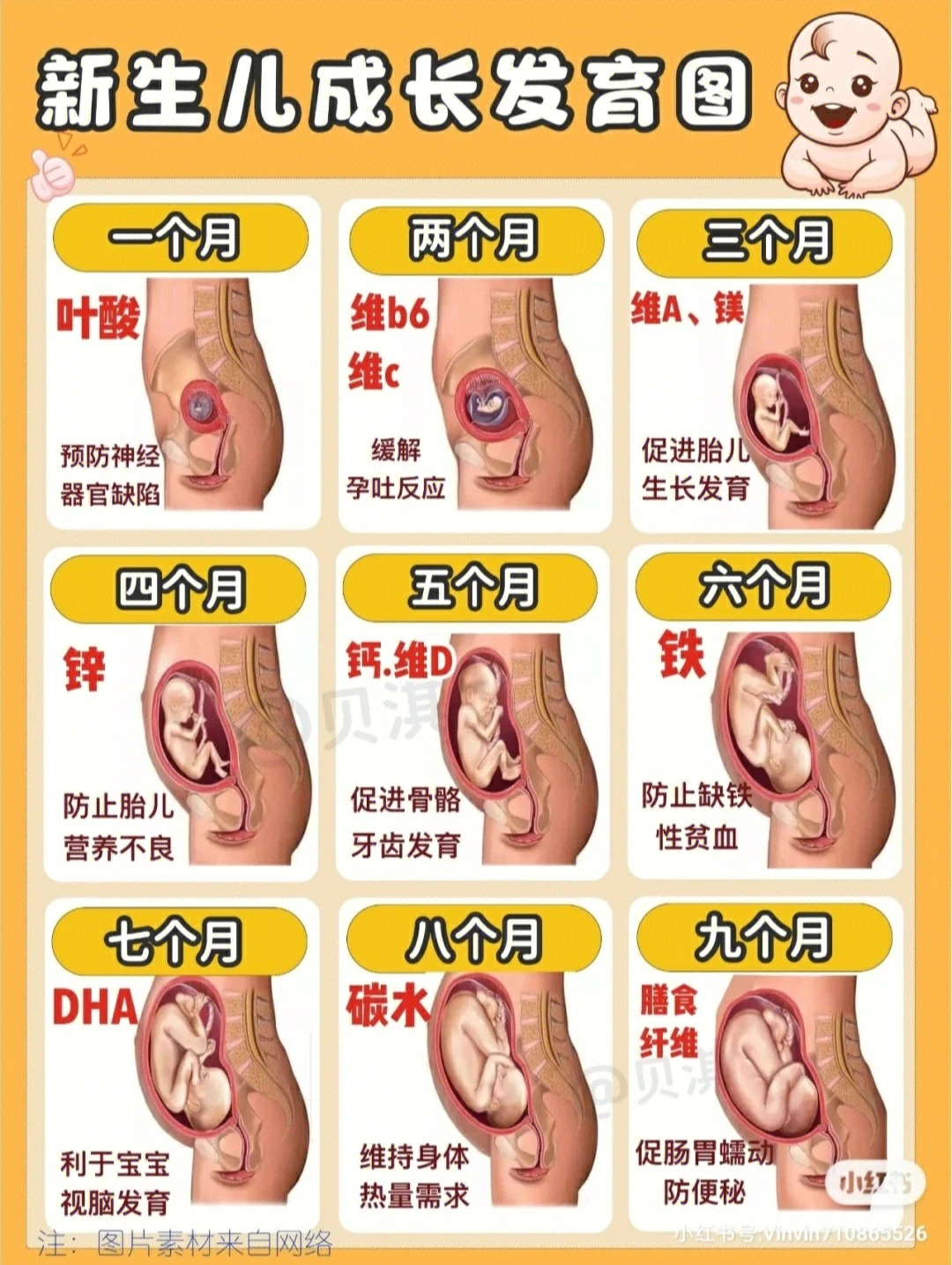 0-12月宝宝重点护理事项‼️收藏打印照做
