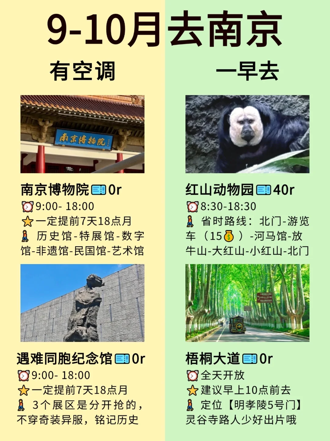 听劝❗️愿9-10月去南京的姐妹都能刷到这篇