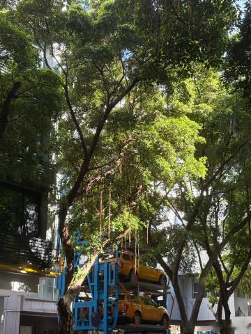 还挺喜欢市桥的，有一种老味道，大路两旁树很多，早上坐着公交车望着外面...
