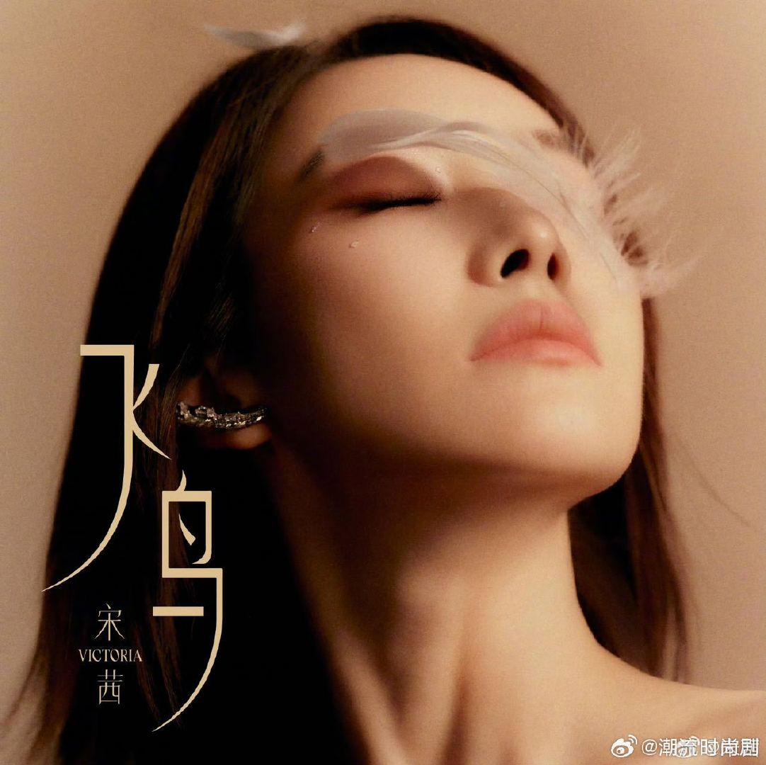 #宋茜新歌飞鸟MV#“飞鸟”哪是随便起的名，十七年熬过来的桎梏和体面都藏在羽翼下了 越往高处飞越想要自由，但她没丢那份韧，听着像在跟当年的自己轻轻说“你辛苦了”。#宋茜新歌飞鸟##宋茜[超话]# ​