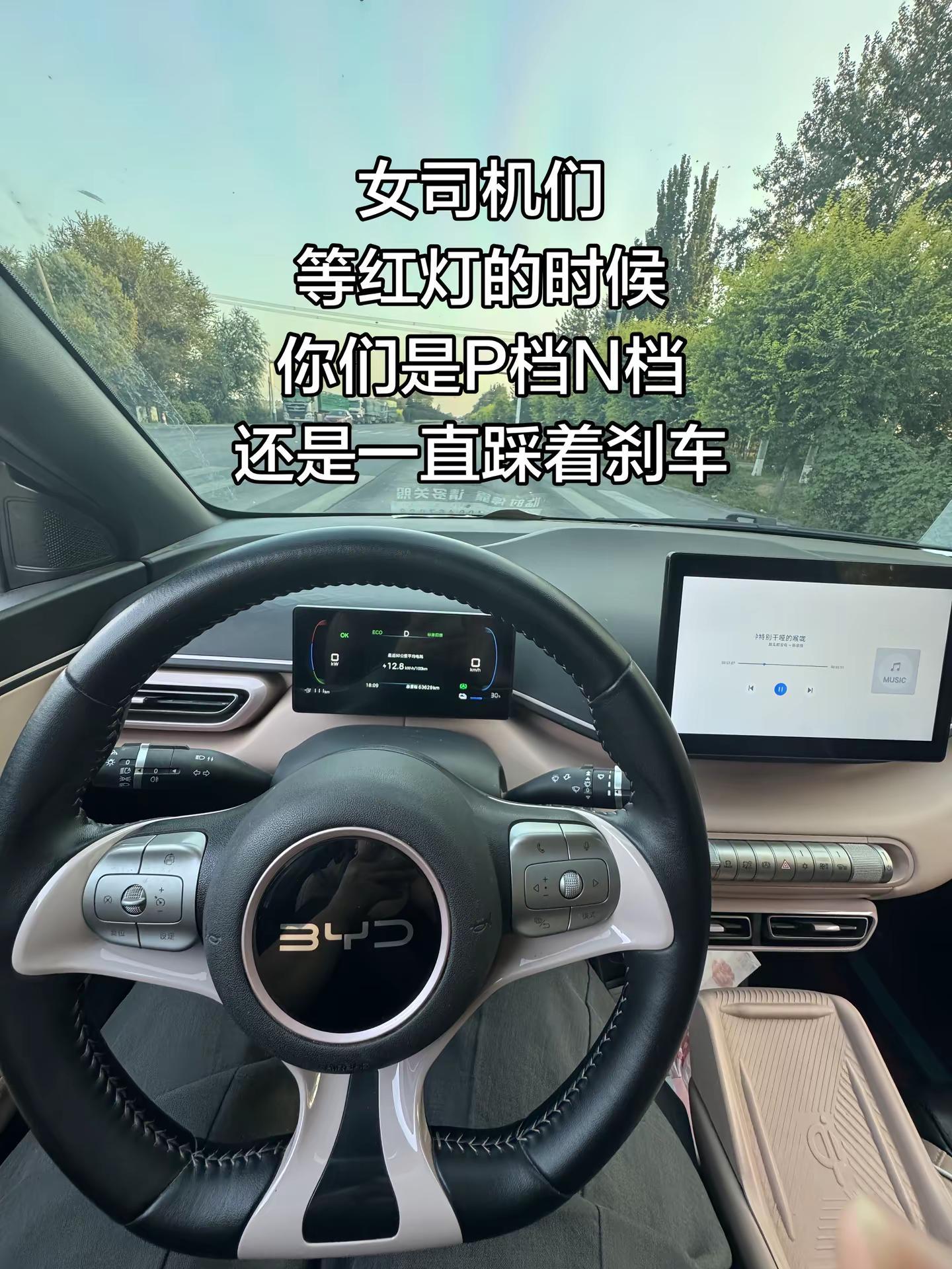 比亚迪 比亚迪海鸥