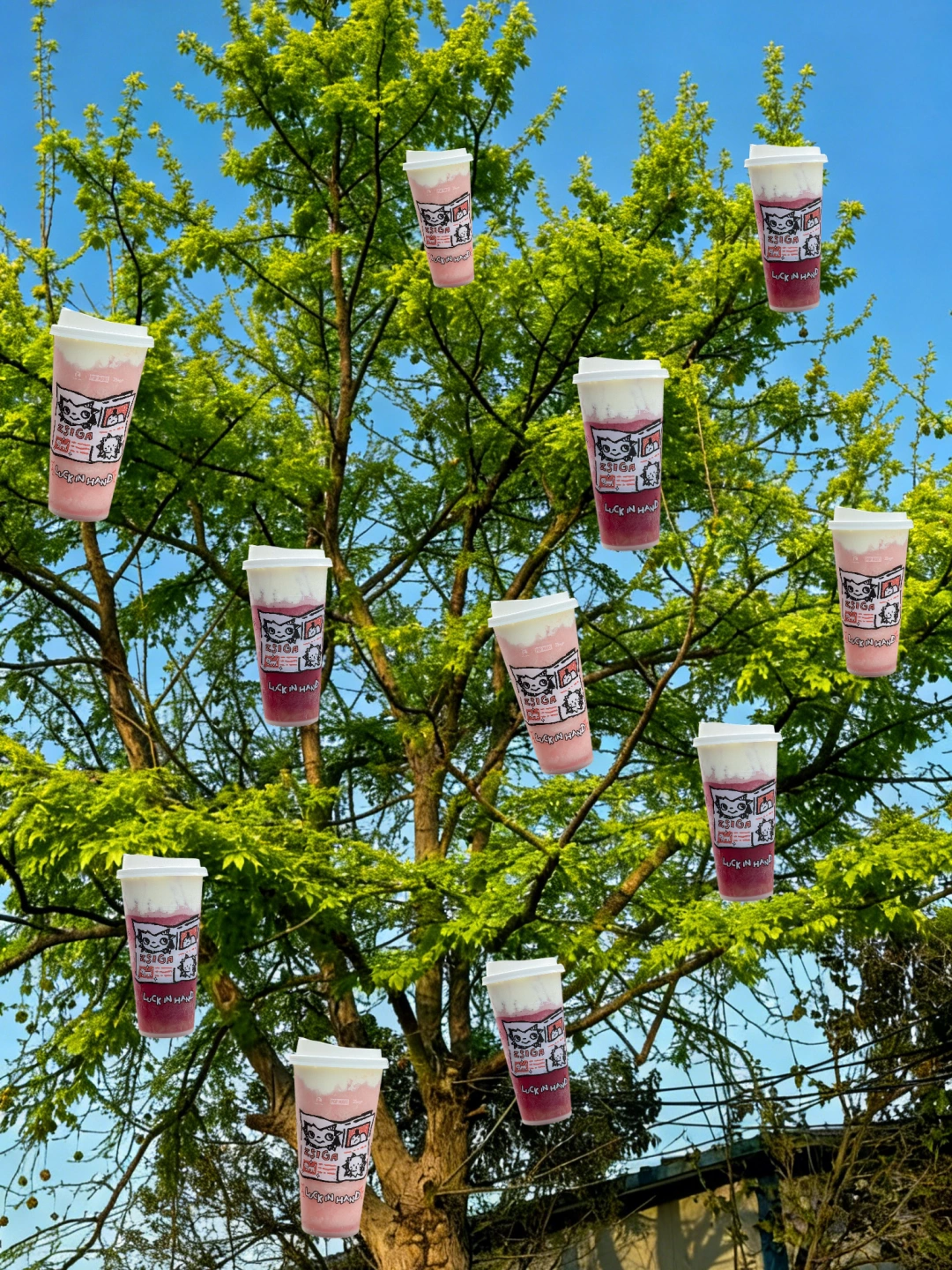 好喝到枯木逢春。。。🍑🍇