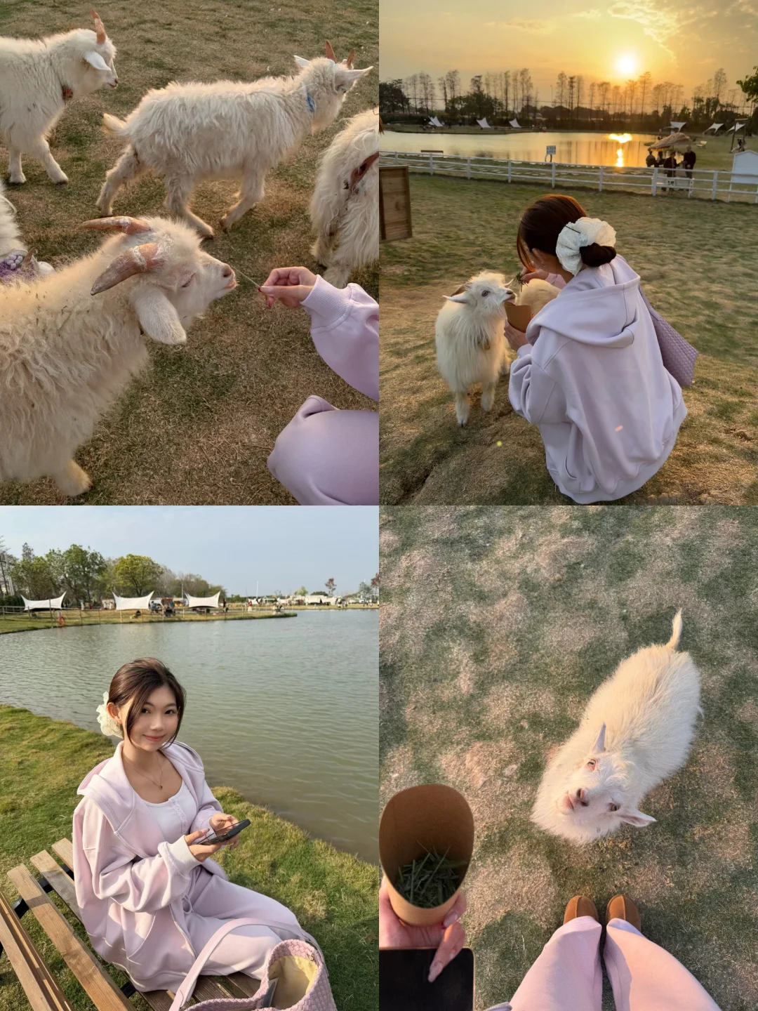 广州小羊肖恩牧场🧺🐑👩🏻‍🌾