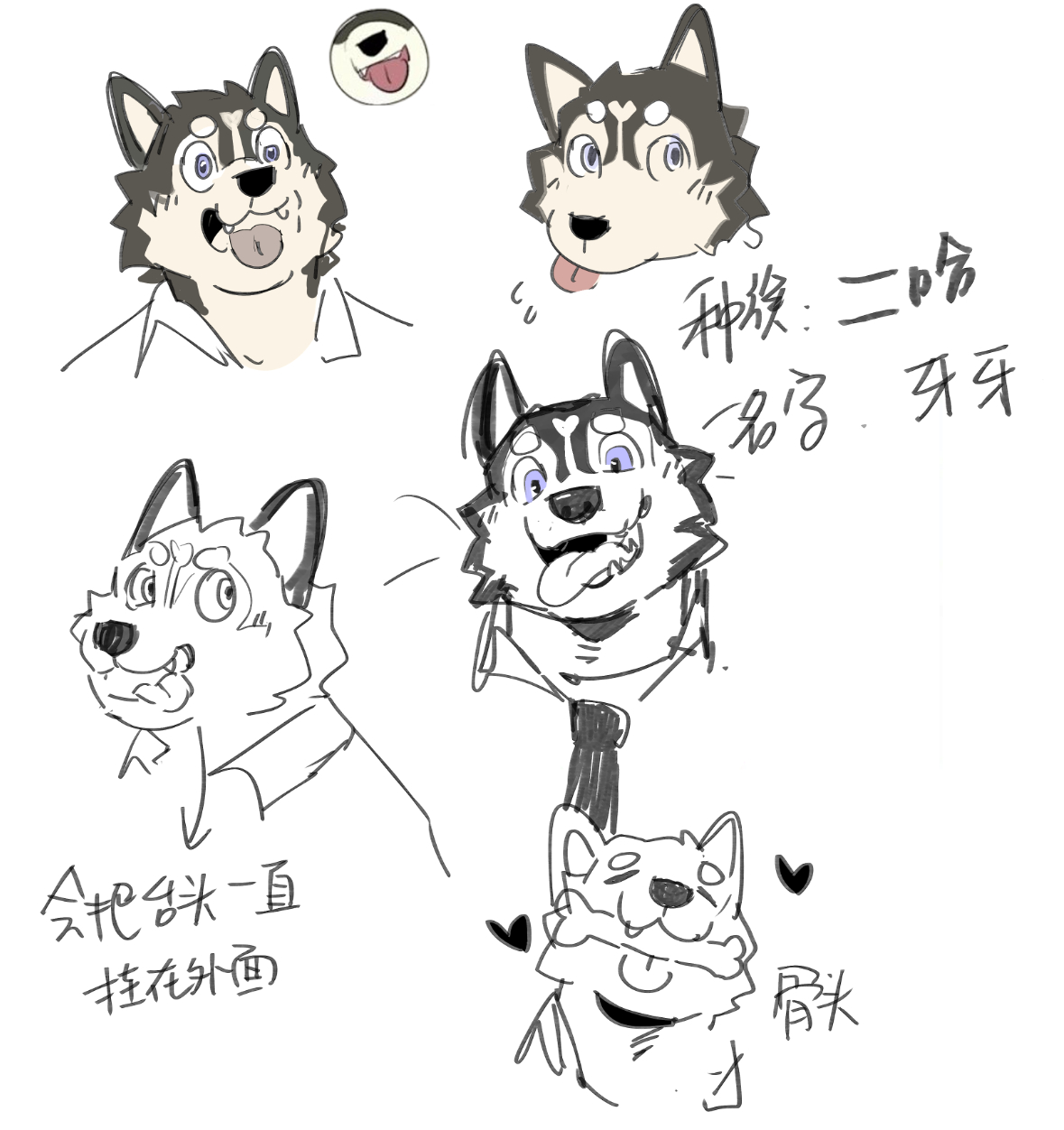 新同学追加中[柯基][柯基][柯基][柯基][二哈][二哈][二哈][二哈][二哈] ​​​