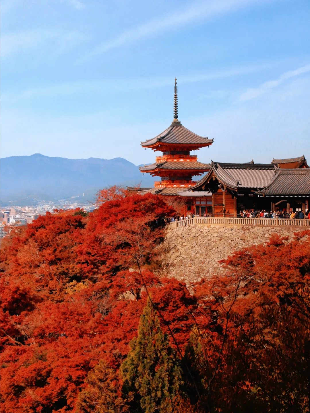 能打败樱花的只有京都红叶季了！美到失语