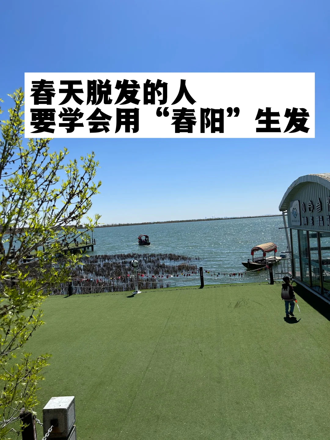 春天脱发的人，要学会利用“春阳”生发！