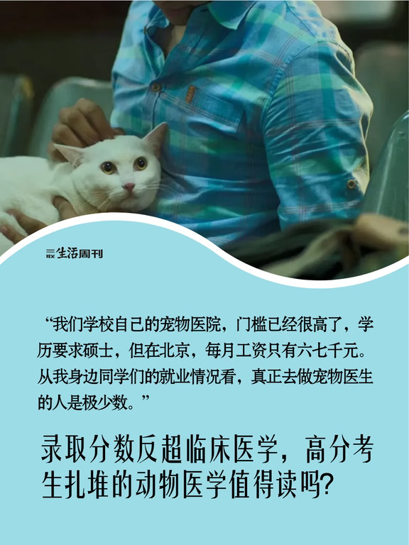 因为“喜欢动物”学兽医，是正确的决定吗？
