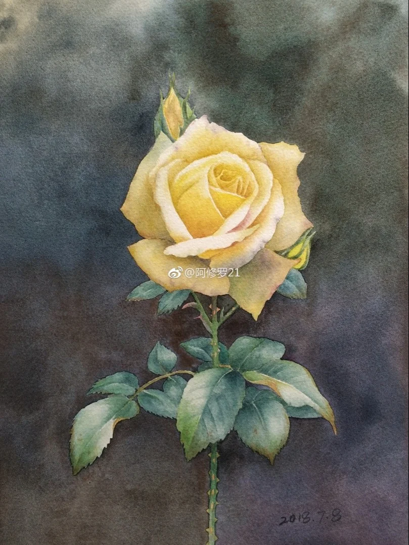 临摹黄有维老师的黄玫瑰