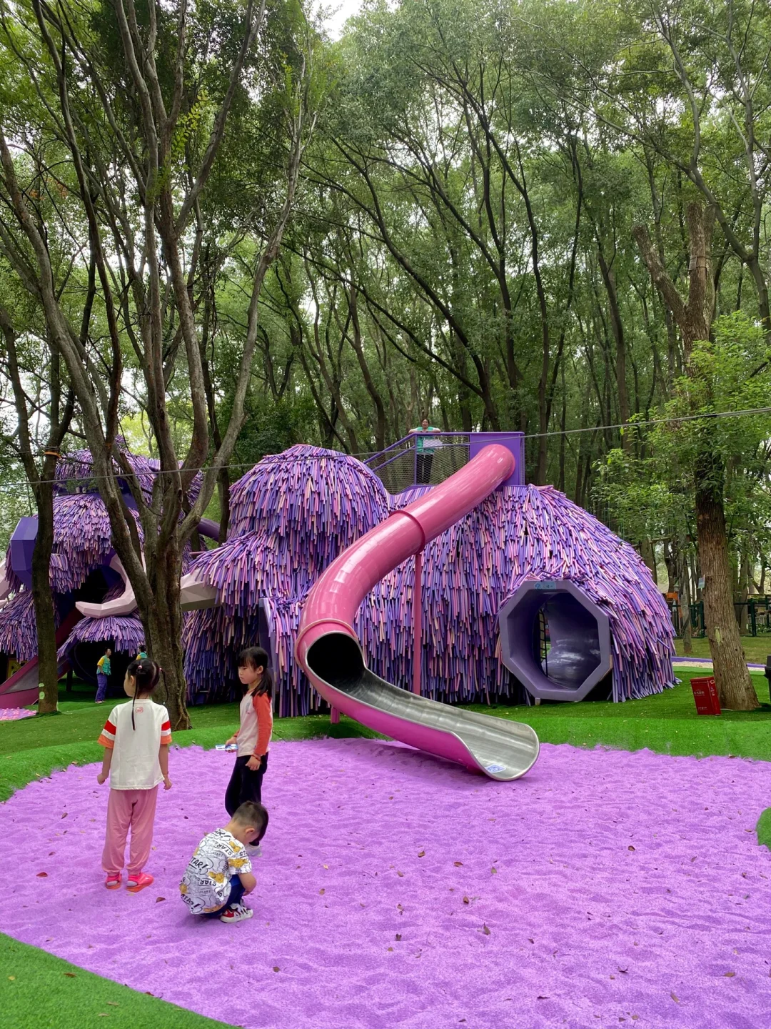 在武汉‼新开的‼预测会成为下一个顶流！！