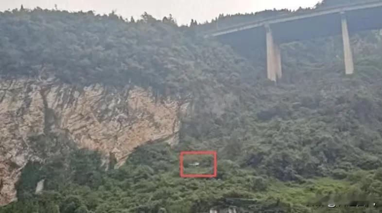 新能源车坠崖近百米，驾驶员生还，靠的不是运气
近日，四川泸州一段国道，垂直落差近百米，一新能源车意外冲出路面，腾空、撞击、连续翻滚，最后砸到崖底，光听听就让人捏把汗，万幸地是，新能源车整车外观虽受损严重，但A柱没弯，车门能开，而且驾驶员还奇迹生还了，暂无生命危险。
相信很多人第一反应一定是感叹此驾驶