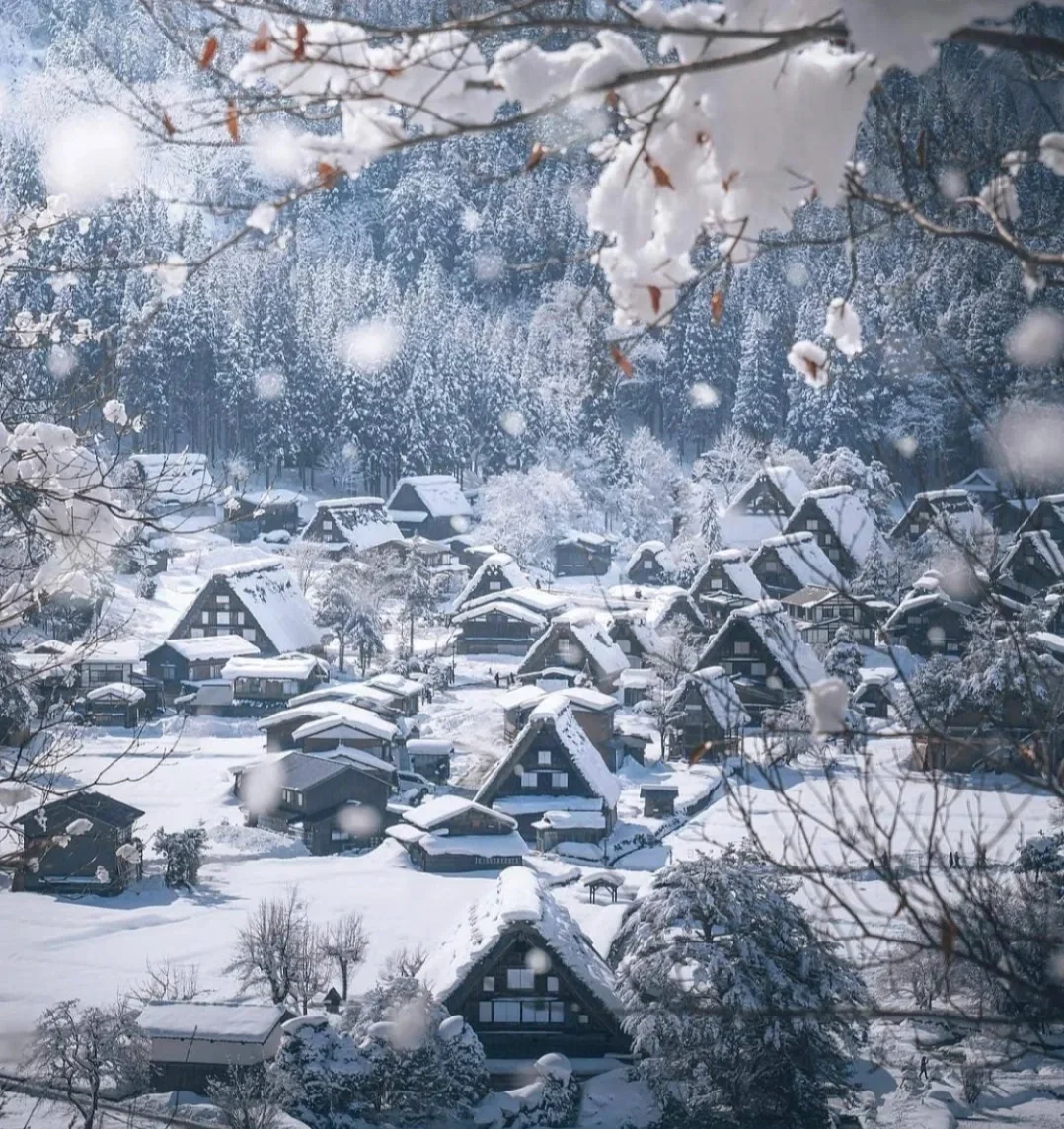 日本岐阜县｜冰雪里的童话世界