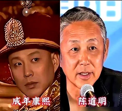 30多岁顶着娃娃脸演少年康熙，骗了全国观众二十多年。最近他在《解密》里演了个满脸褶子的沉稳角色，弹幕全说认不出来。

这就是李楠，也是《康熙王朝》那帮神仙配角的缩影。

你可能叫不出他们的真名，但容妃刷马桶时发黑的指甲缝和干净的眼神，索额图捋胡子时的算计，还有噶尔丹死前让人脊背发凉的那声笑，全刻在骨