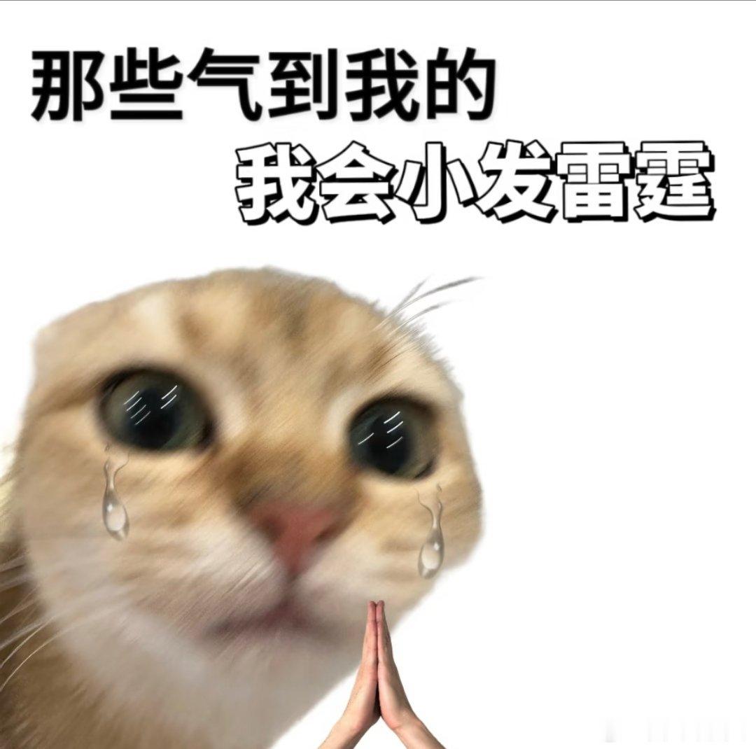 我这个人，不太吃压力，最讨厌威胁。我们响应清朗行动号召，一切向合规收敛，不做职业粉运，不催氪，反黄牛，所有努力都只为了真心和好的内容创作。但这份纯粹，不是外部威胁四子的理由。想红的人很多，拉踩的也很多。我们始终相信，真心能换真心。在我们家，真诚相待可以，但威逼利诱不行。 ​​​