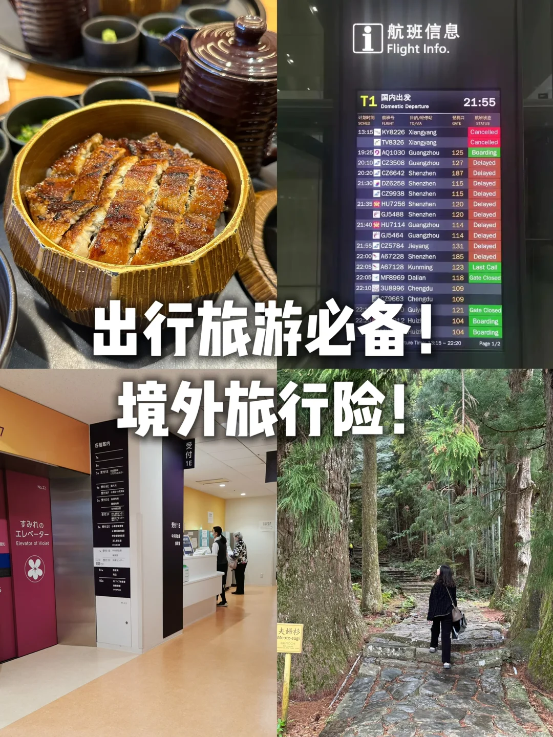 准备出国玩的🏖️真心建议都备个境外旅行险❗