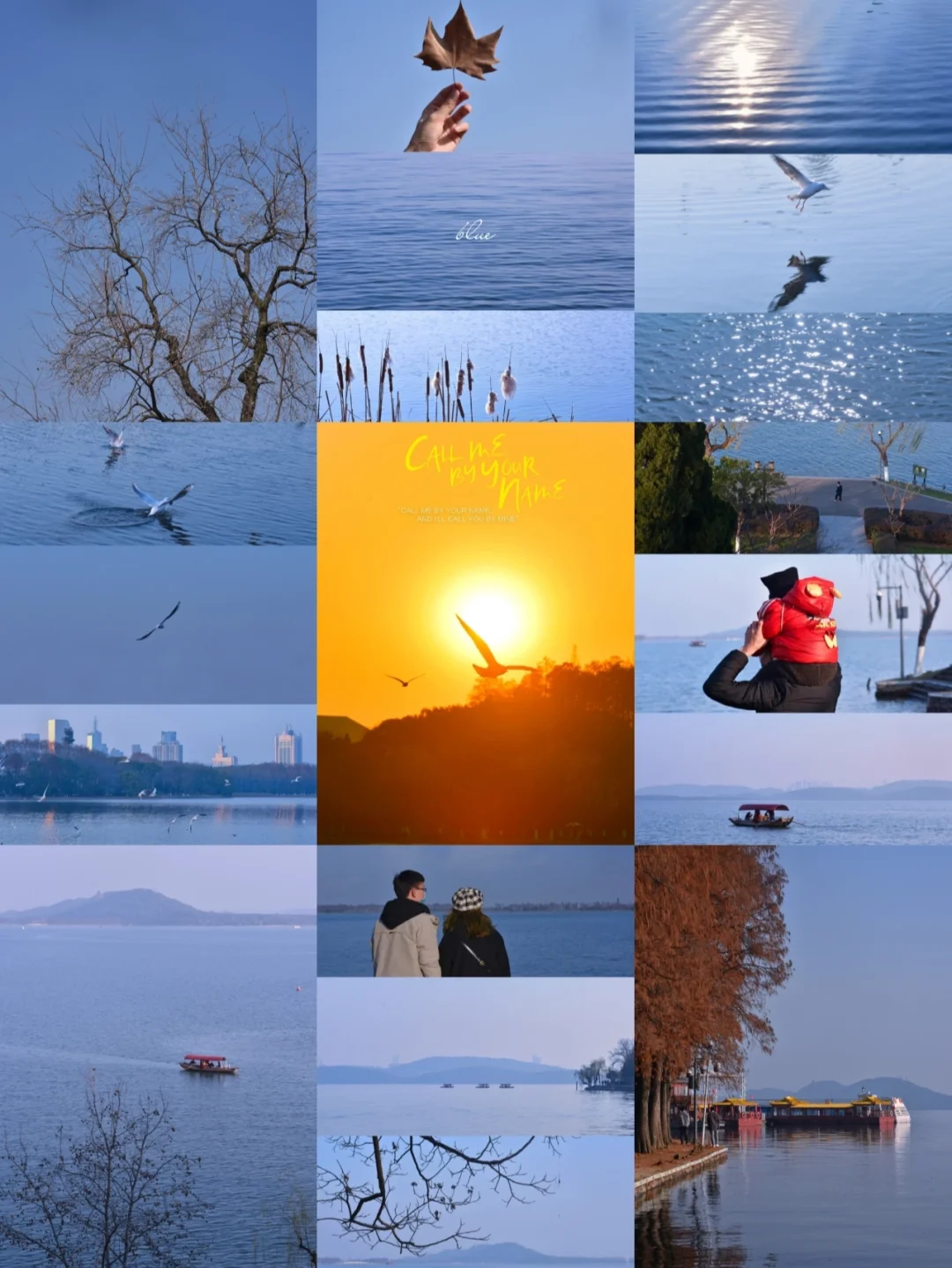 绝美海鸥天堂？这不是大理海边，在武汉❗️