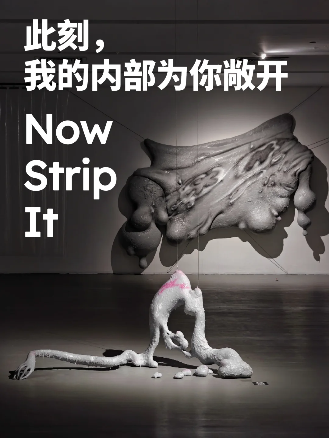 黄榜｜见证数码感与生物感的共存