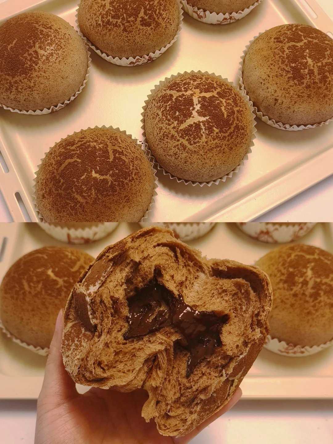 一次发酵🔥网红店同款的巧克力蘑菇云面包